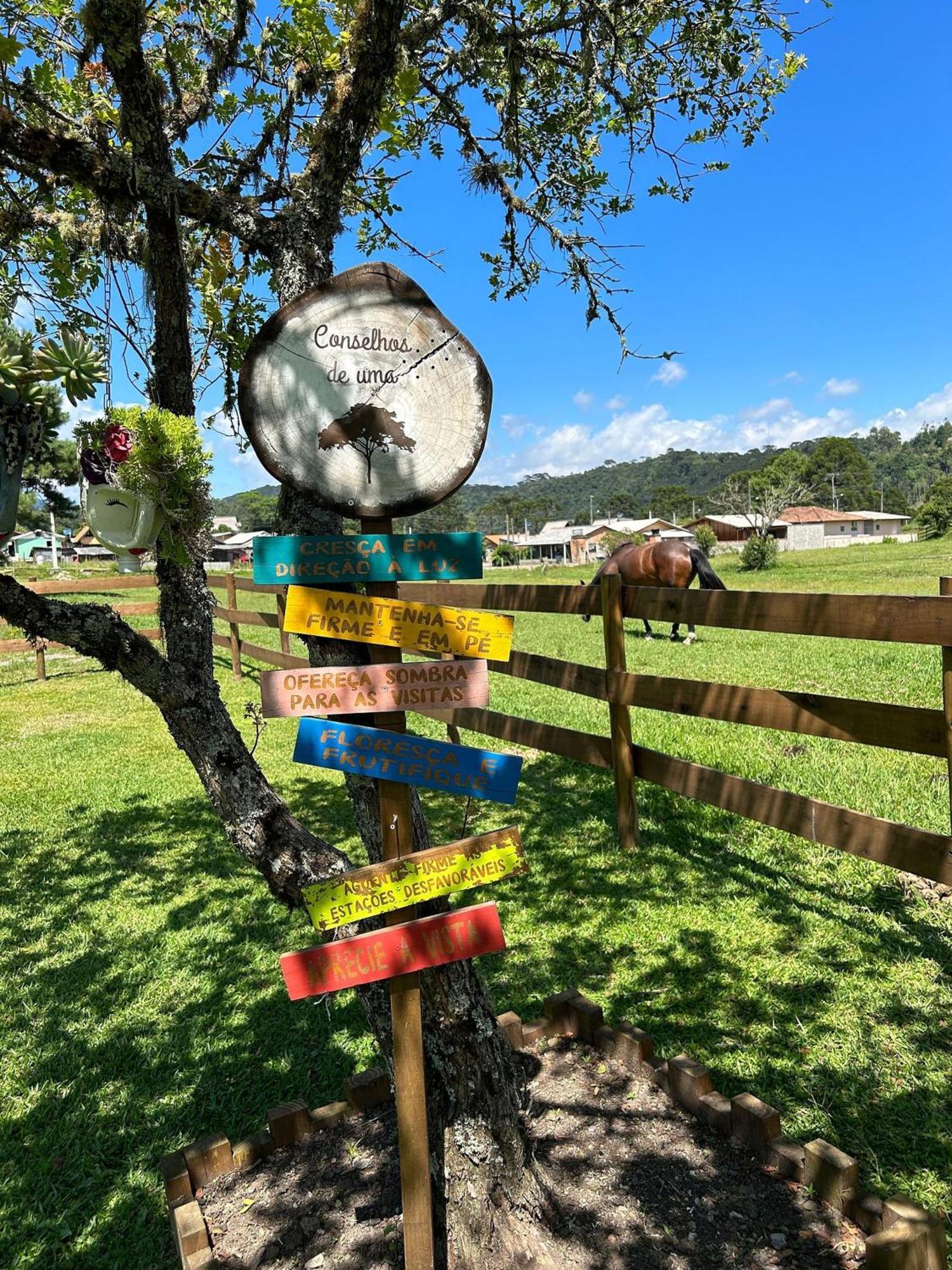 Toca Da Coruja Hospedagem - Urubici - Sc Exterior foto